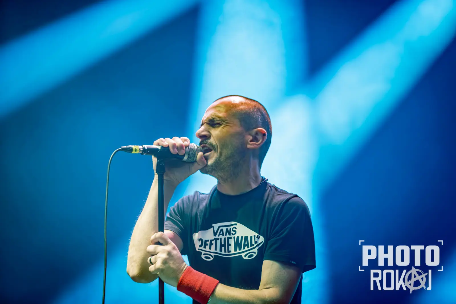 Petar Punk, Seljačka Buna, Raspad Sistema - Kampus Koprivnica - Koprivnica - 24.07.2026. - foto: Robert Skenderović, Igor Pavlović, Igor Strmečki, Siniša Frangen, Roman Avdagić, Ranka Masnjak, Suzana Svečnjak, Katarina Žitko