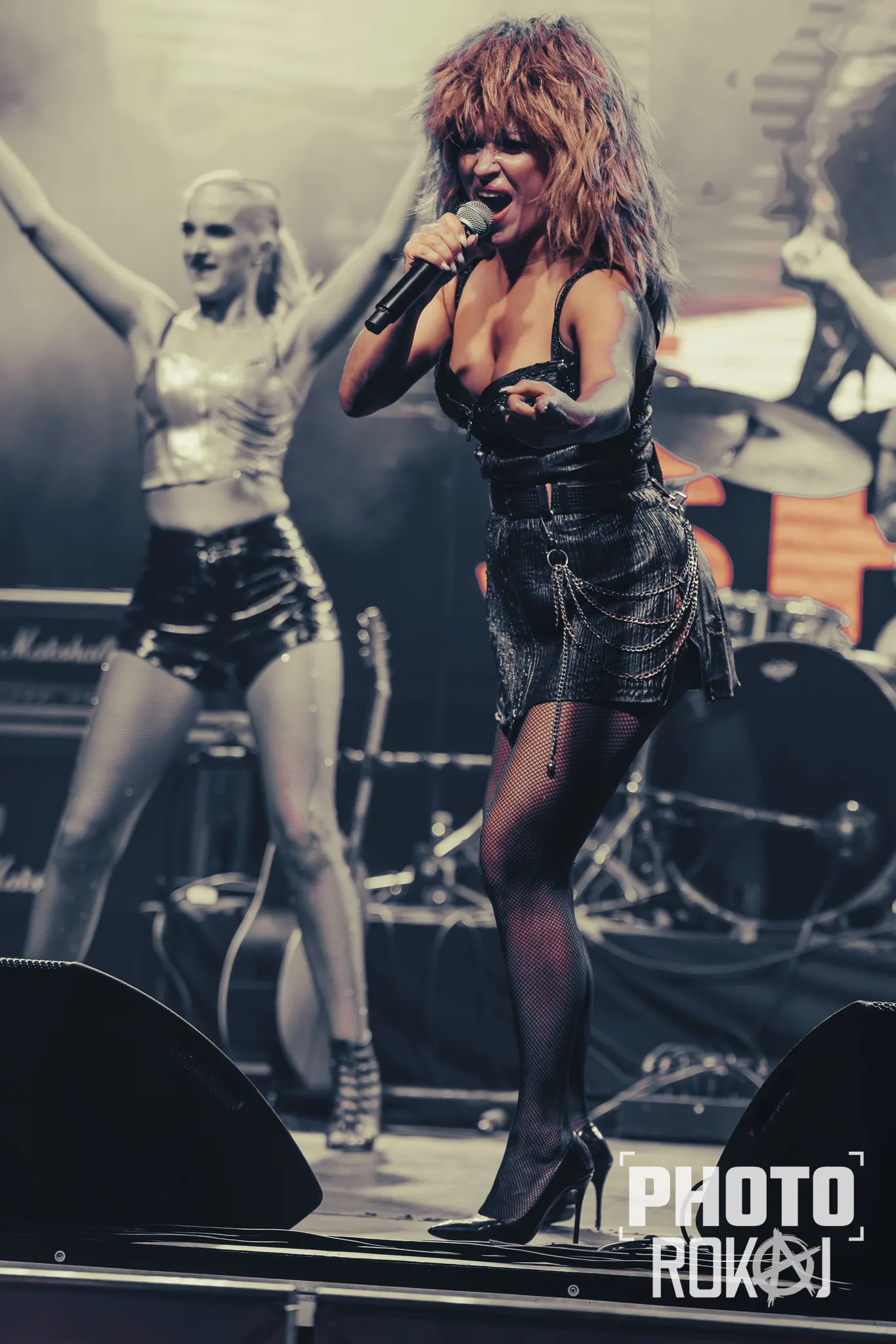 David Bowie, Tina Turner, Rammstein, Depeche Mode - Tvornica Kulture - Zagreb - 10.09.2026. - foto: Roman Avdagić