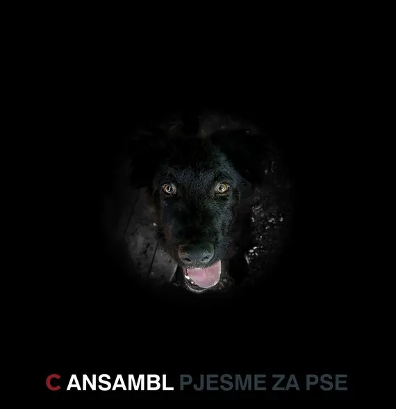 c ansambl - 22.10.2026.