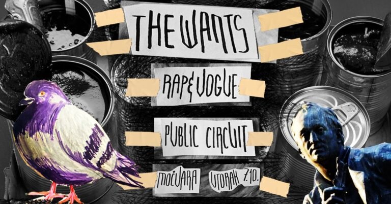 Eksperimentalni rock: The Wants, Rap&Vogue, Public Circuit