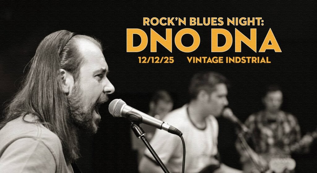 Dno Dna - rock & blues B-day | 12/12/25 VIB