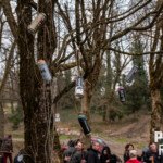 leon.belovaric@gmail.com