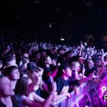 leon.belovaric@gmail.com