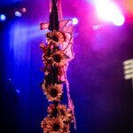 leon.belovaric@gmail.com